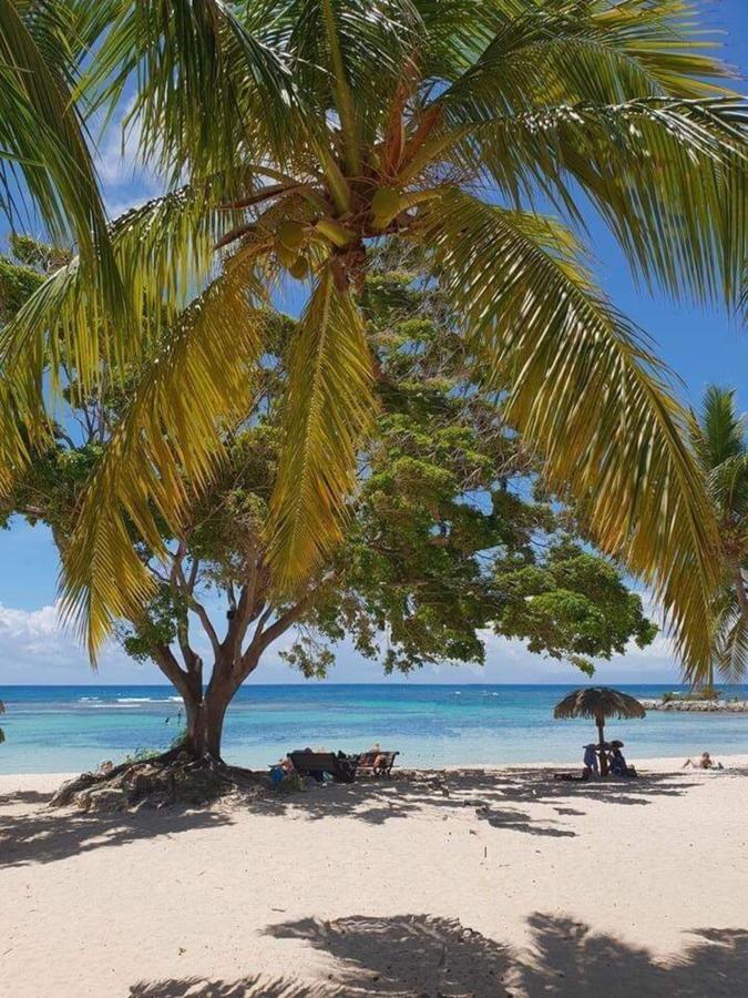 Appartamento Ti.Maanga Vue Mer Pieds Dans L'Eau Saint-Francois  Esterno foto