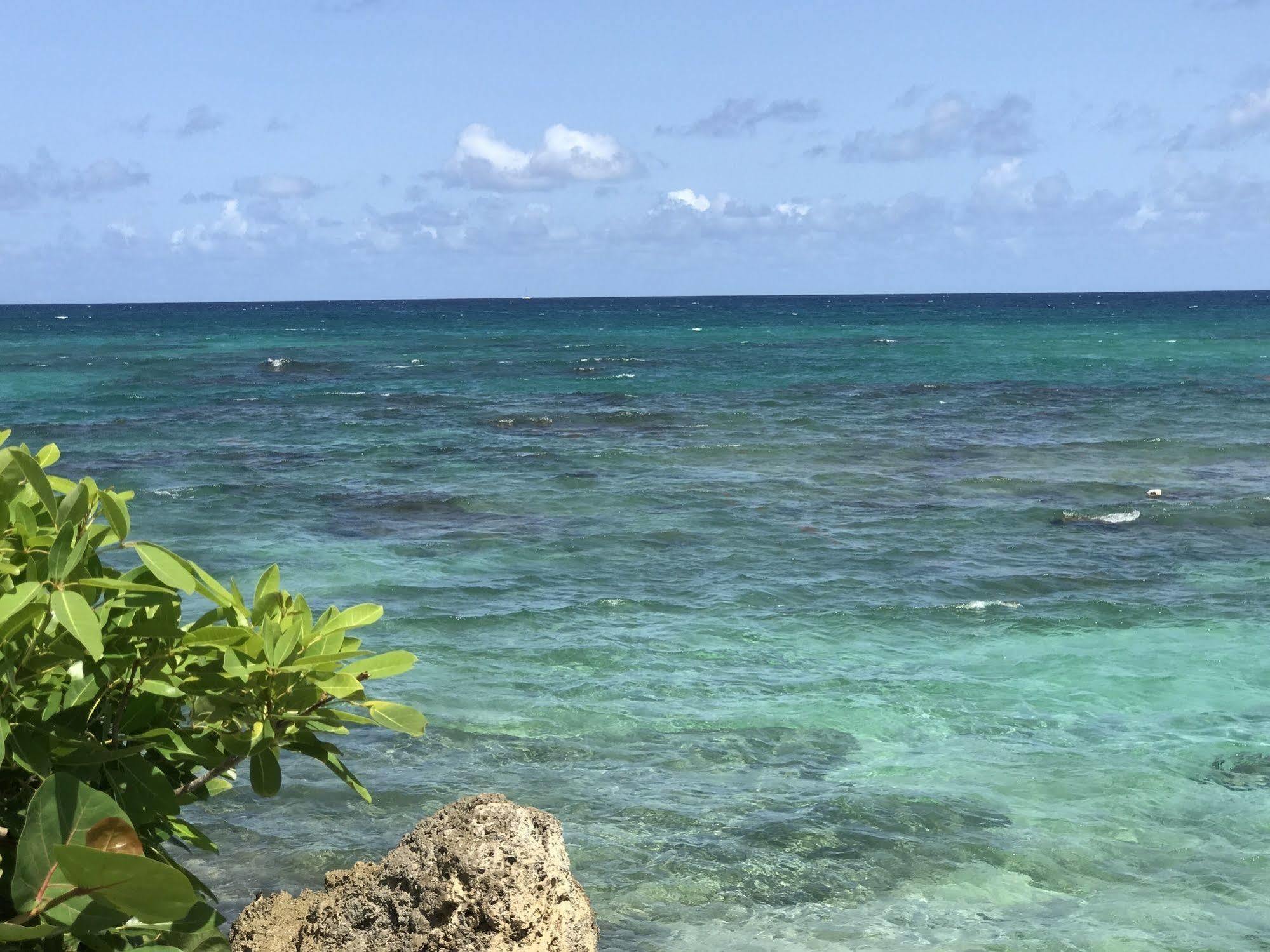 Appartamento Ti.Maanga Vue Mer Pieds Dans L'Eau Saint-Francois  Esterno foto