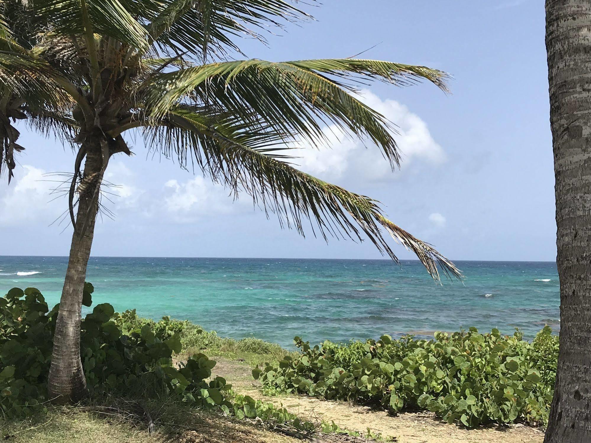 Appartamento Ti.Maanga Vue Mer Pieds Dans L'Eau Saint-Francois  Esterno foto