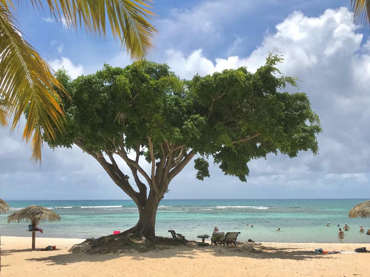 Appartamento Ti.Maanga Vue Mer Pieds Dans L'Eau Saint-Francois  Esterno foto